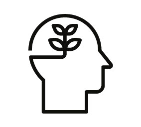 4-icon