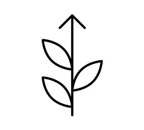 6-icon